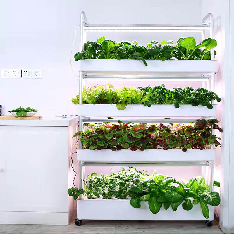 ydroponic Planting System Smar - Home Automation Diy 评论和价格