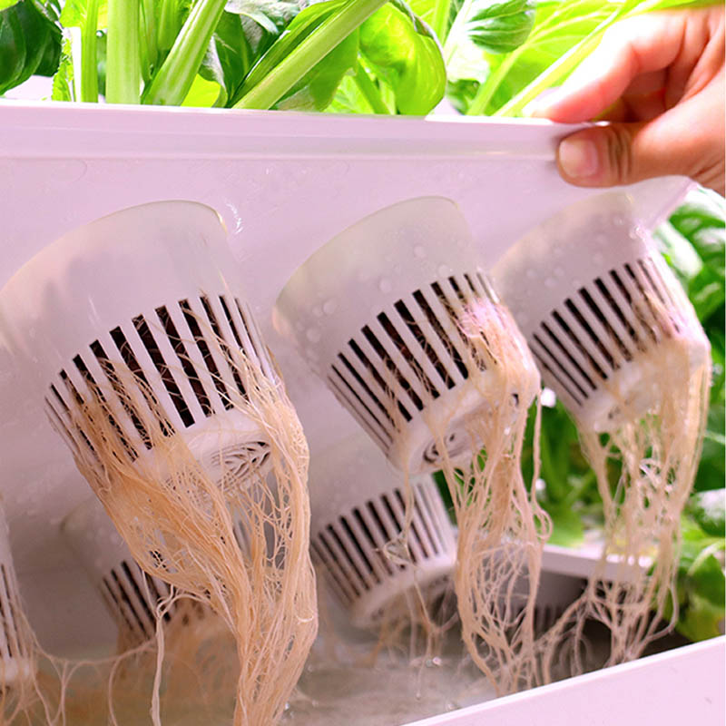 ydroponic Planting System Smar - Home Automation Diy 评论和价格