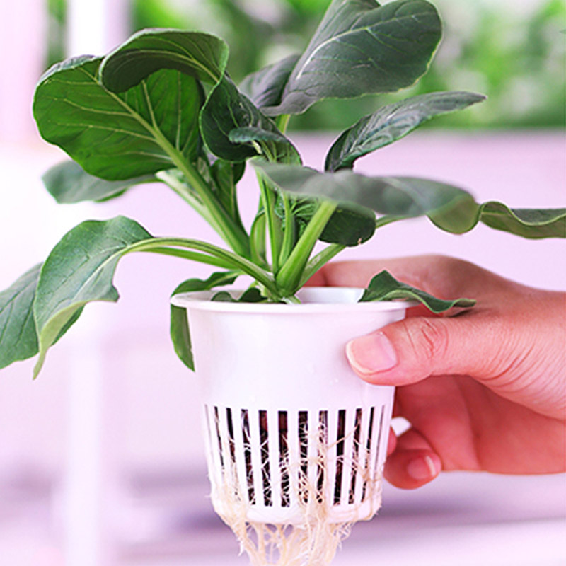 ydroponic Planting System Smar - Home Automation Diy 评论和价格