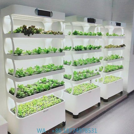 Hydroponic Automated Grow Syst - Home Automation System Diy 评论和价格